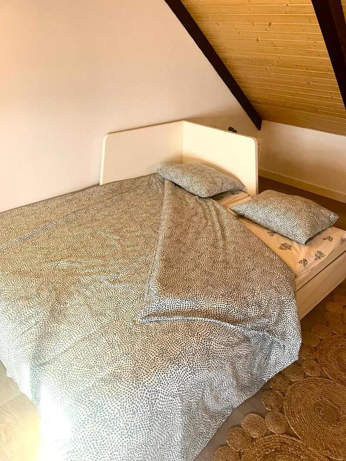 Precioso Apartamento Centrico Con Piscina 科爾多瓦 外观 照片