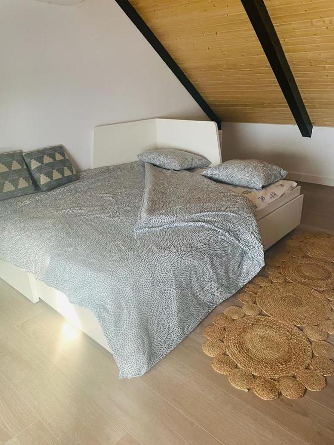 Precioso Apartamento Centrico Con Piscina 科爾多瓦 外观 照片